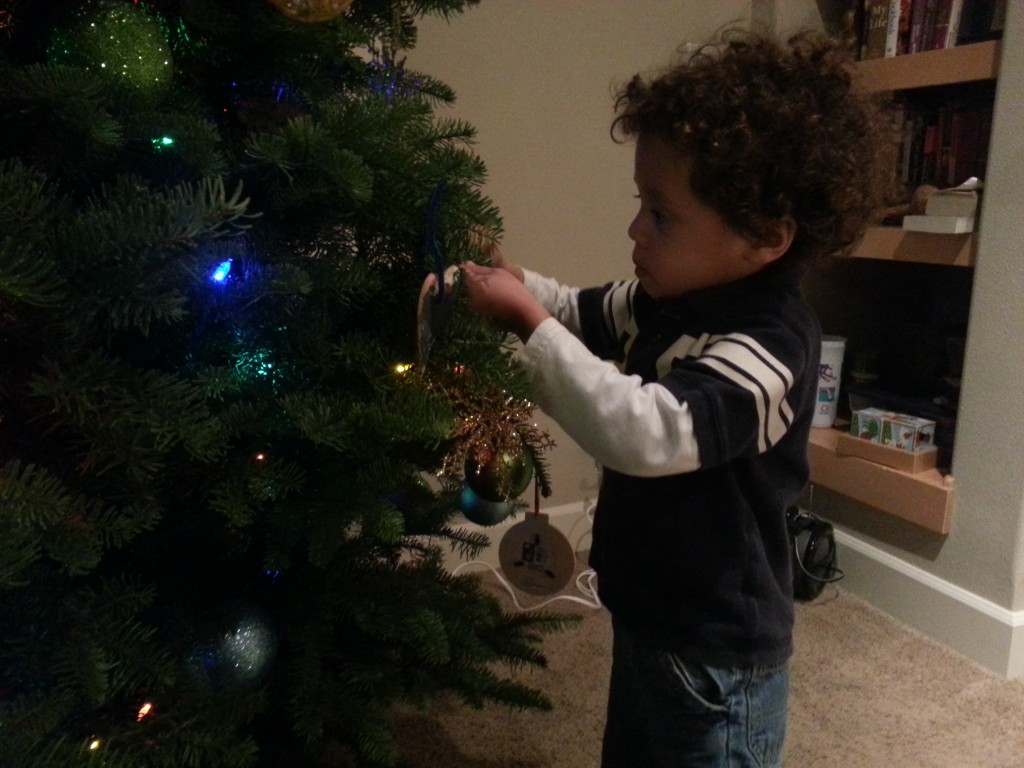 Hanging Christmas ornaments is serious business.